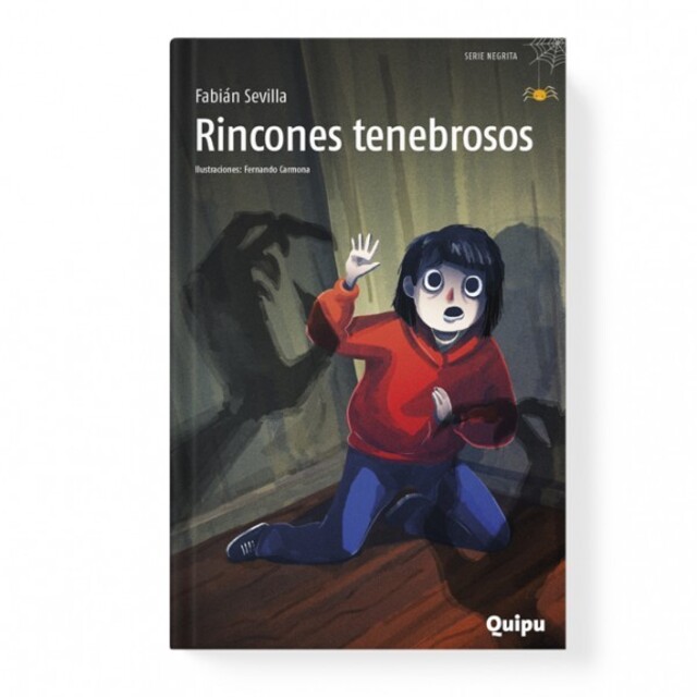 Imagen de Rincones tenebrosos