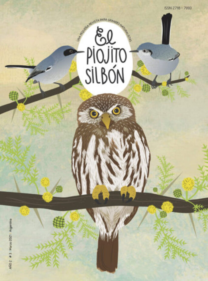 El Piojito Silb&oacute;n #3