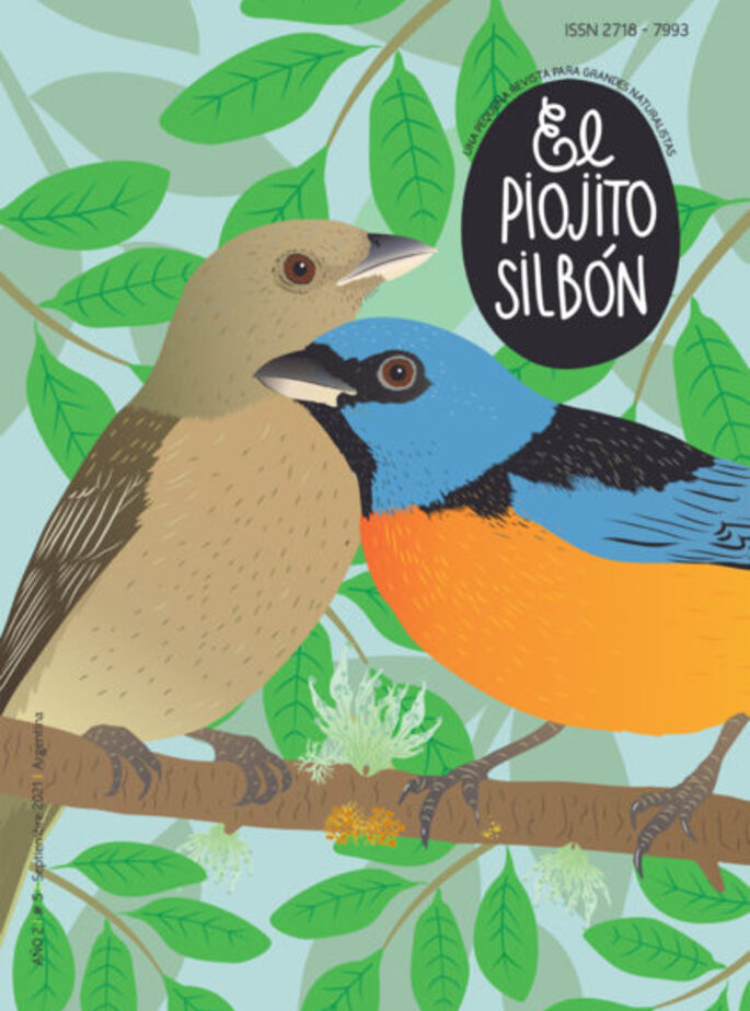 El Piojito Silb&oacute;n #5